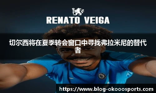 切尔西将在夏季转会窗口中寻找弗拉米尼的替代者